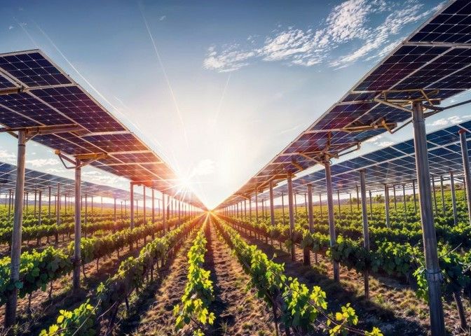 agrivoltaico